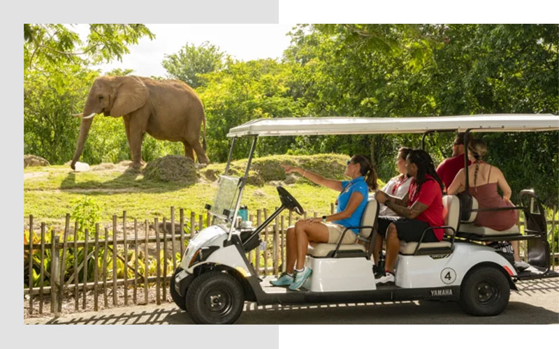 Family-Friendly Activities