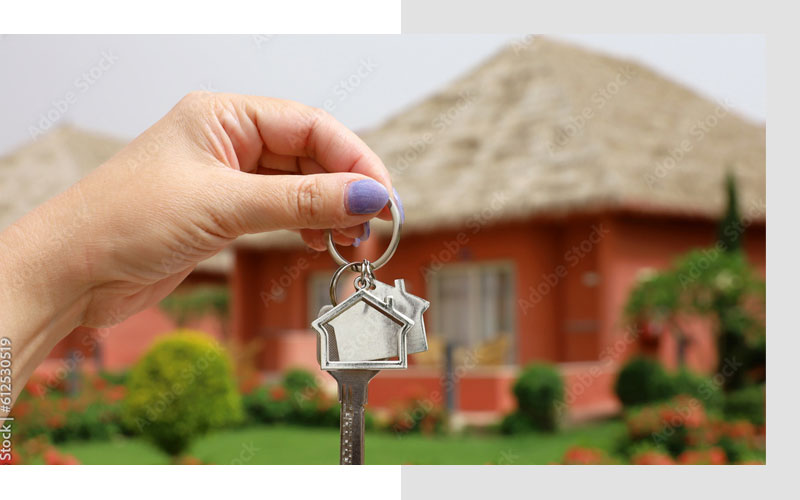 Real Estate Services