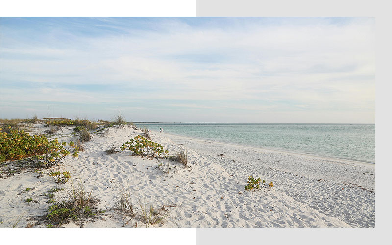 Recommended Beaches Near Cape Coral