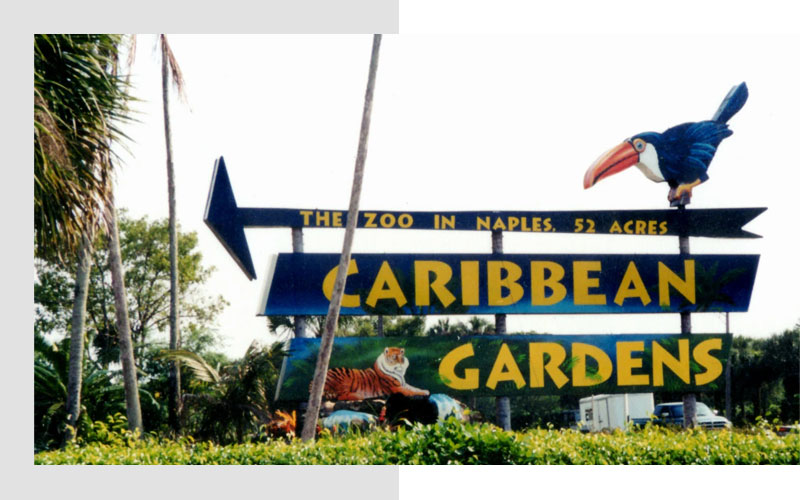 Top Things To Do in Naples